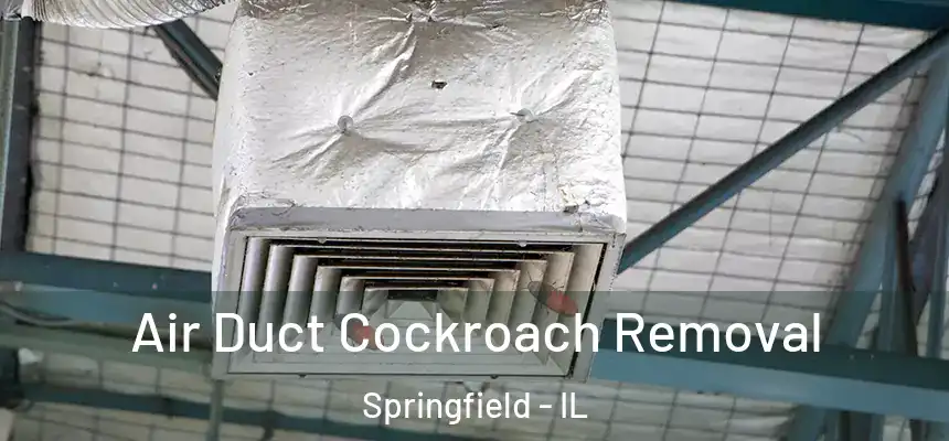Air Duct Cockroach Removal Springfield - IL