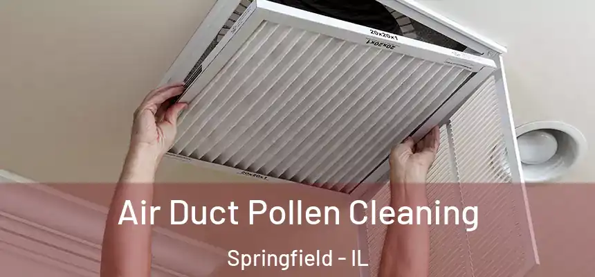 Air Duct Pollen Cleaning Springfield - IL