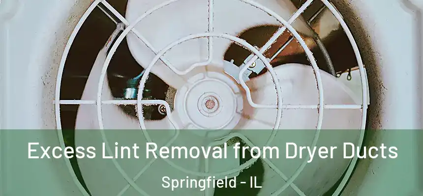 Excess Lint Removal from Dryer Ducts Springfield - IL