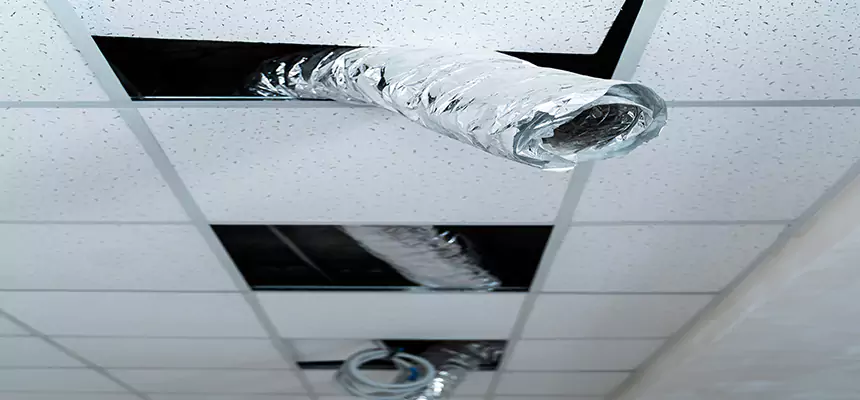 Our Air Duct Pet Hair Removal Services in Springfield, IL