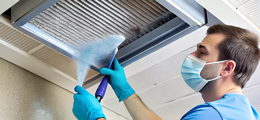 Proactive Dryer Vent & Auxiliary Duct Pollen Cleanup in Springfield, IL