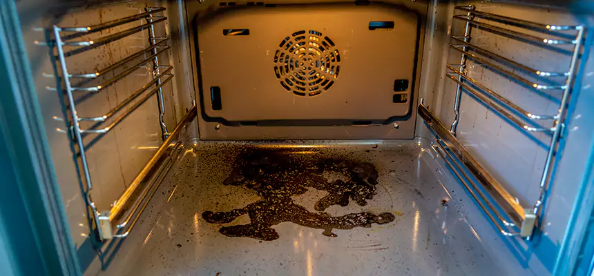 Our Dryer Vent Mold Cleaning Services in Springfield, IL