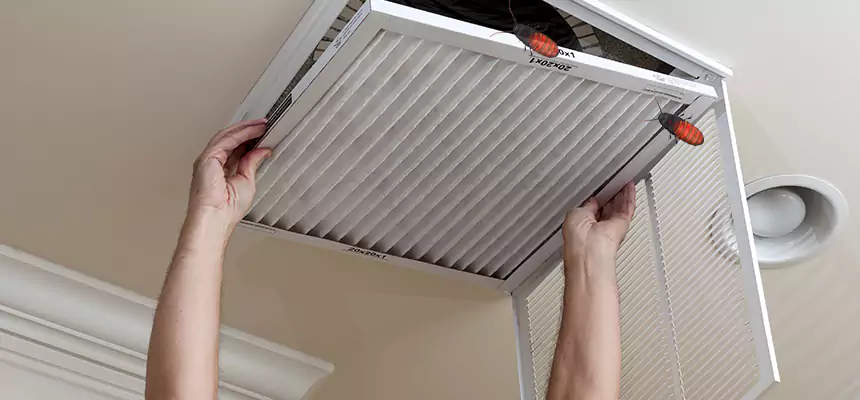 Our Insect Removal from Air Ducts Services in Springfield, IL