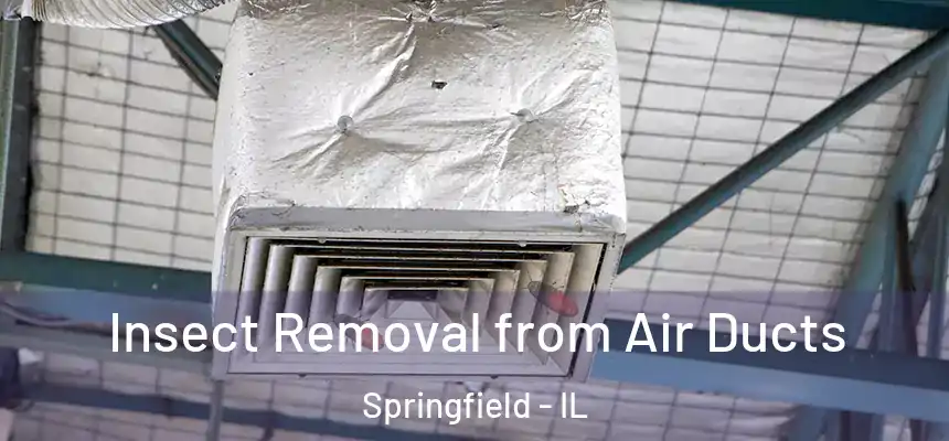 Insect Removal from Air Ducts Springfield - IL