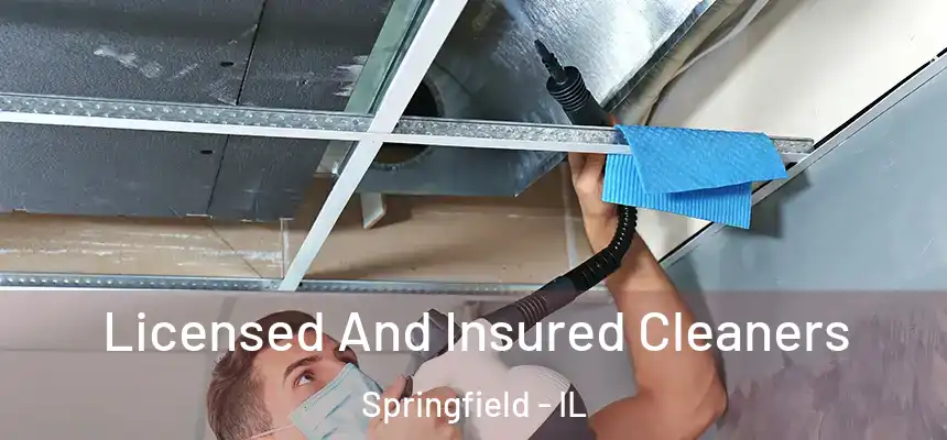Licensed And Insured Cleaners Springfield - IL