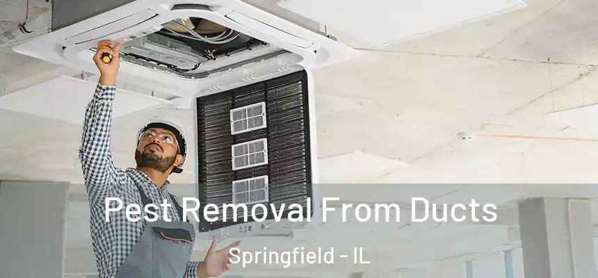 Pest Removal From Ducts Springfield - IL