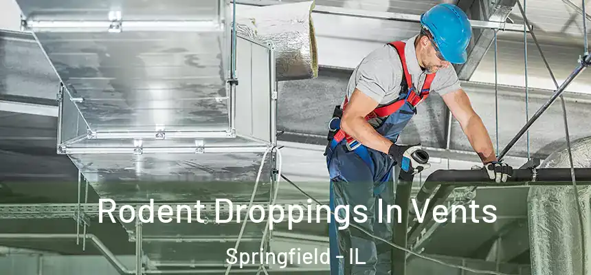 Rodent Droppings In Vents Springfield - IL
