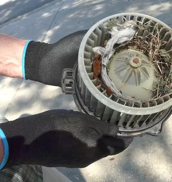 About Air Duct Rat Removal in Springfield, IL