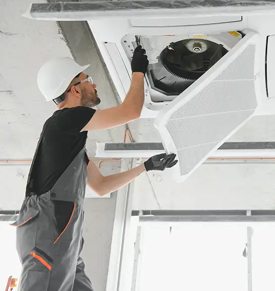 About Air Duct Rodent Removal in Springfield, IL