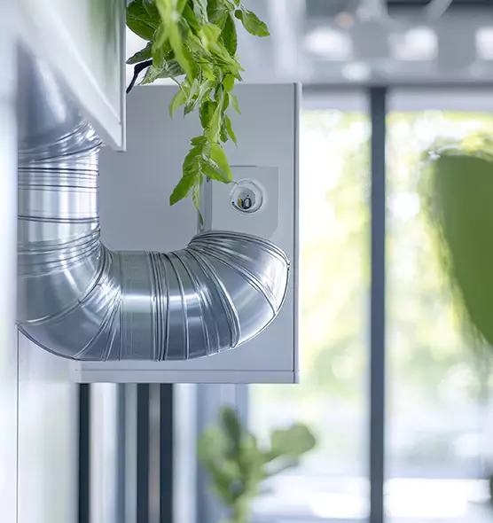 Professional Eco-Safe Dryer Vent Cleaning in Springfield, IL