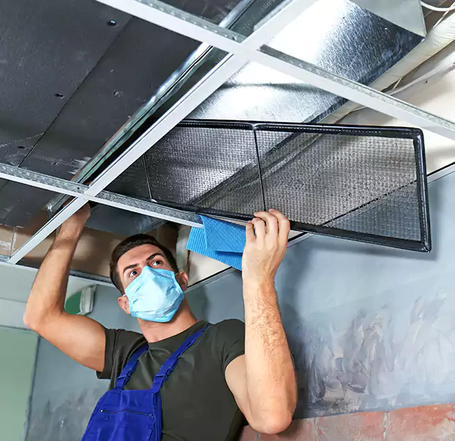 Why Homeowners Businesses Trust Us in Springfield, IL