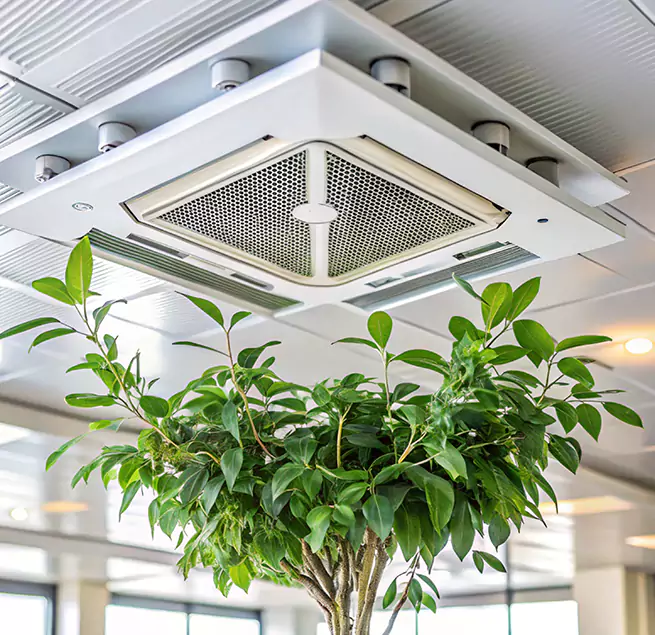 Why Homeowners & Businesses Trust Us in Springfield, IL?