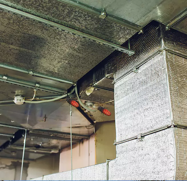 Why Homeowners & Businesses Trust Us Springfield, IL?