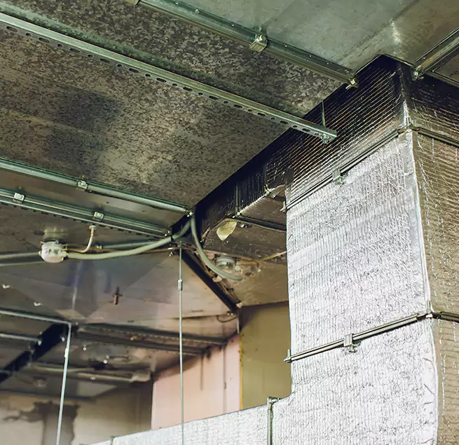 Why Homeowners & Businesses Trust Us in Springfield, IL?